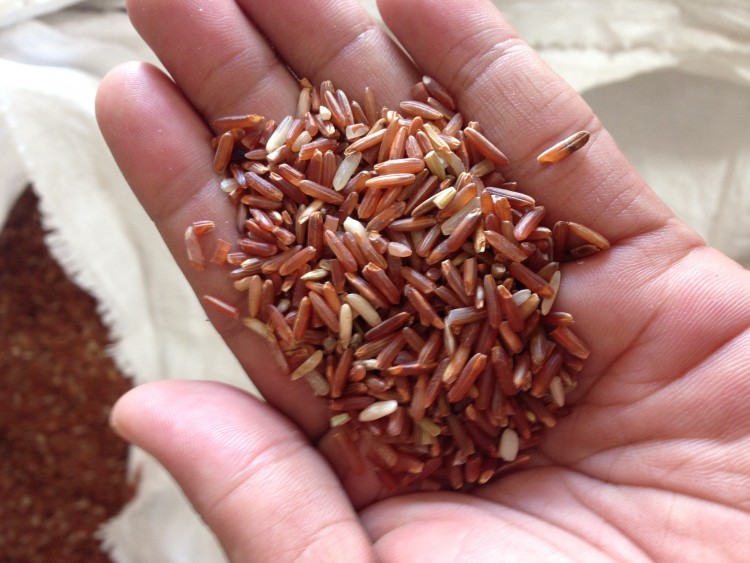 Beras Merah Organik 2 Kg